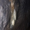 051 LIPOPA 1 la Grotte Paroi avec Stalactite 16E5K3IMG_120271wtmk.jpg