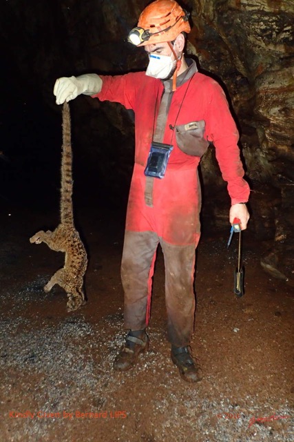 031 Missie la Grotte Olivier avec une Genette Morte Photo Bernard Lips 16OTG3BLIMG_11053wtmk.jpg