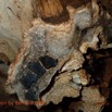 044 Missie la Grotte Paroi avec Geode Photo Bernard Lips 16OTG3BLIMG_11072wtmk.jpg