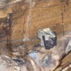 058 MISSIE la Grotte Paroi et Chauve-Souris Chordata Mammalia Chiroptera Pteropodidae Roussettus aegyptiacus 16E5K3IMG_120339awtmk.jpg