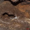 093 Grotte de ZADIE Paroi et Toile Araignee 11E5K2IMG_69744wtmk.jpg