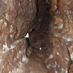 122 Grotte de ZADIE Cavite 11E5K2IMG_69810wtmk.jpg