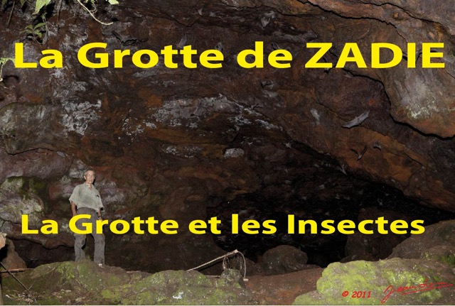 131 Titre Photos Zadie Grotte et Insectes.jpg