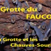 019 Titre Photos Faucon Grotte et CV.jpg