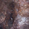 035 Grotte du FAUCON Cavite et Chauve-Souris 11E5K2IMG_70416wtmk.jpg
