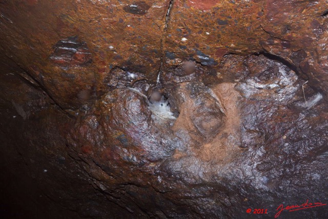 053 Grotte du FAUCON Paroi et Toile Araignee 11E5K2IMG_70447wtmk.jpg