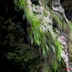 026 LEKABI Fougeres Entree Grotte 8EIMG_26516wtmk.jpg