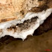 051 LEKABI Grotte Paroi avec Cristaux de Roche 8EIMG_26785wtmk.jpg
