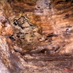 065 LEKABI Grotte Plafond avec Chauve-Souris 8EIMG_26702wtmk.jpg