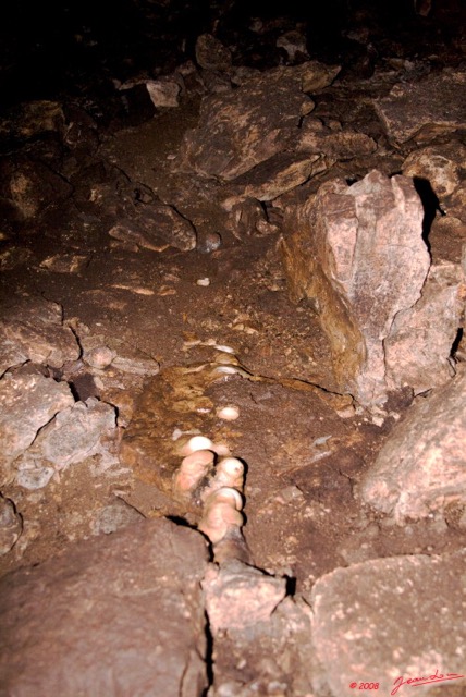 077 LEKABI Grotte Rangee de Stalacmites 8EIMG_26730wtmk.jpg