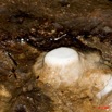 086 LEKABI Grotte Stalacmites 8EIMG_26789wtmk.jpg