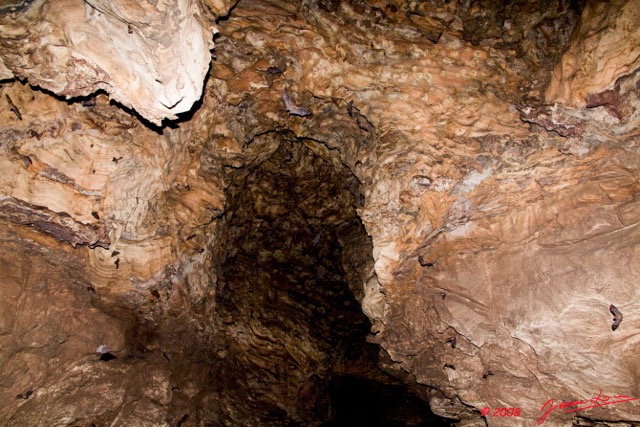 102 LEKABI Grotte Tunel avec Chauve-Souris 8EIMG_26566wtmk.jpg