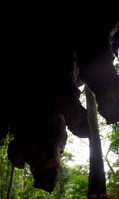 107 LEKABI Grotte Stalactites et Arbres Entree 8EIMG_26520wtmk.jpg