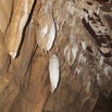 028 Grotte de BONGOLO Parois avec Concretions 11E5K2IMG_71763wtmk.jpg.jpg