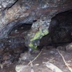 041 BATOUALA la Grotte Entree 12E5K2IMG_75754wtmk.jpg