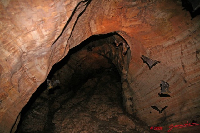 029 Grotte LIHOUMA Cavite avec Chauve-Souris 8EIMG_18908WTMK.JPG