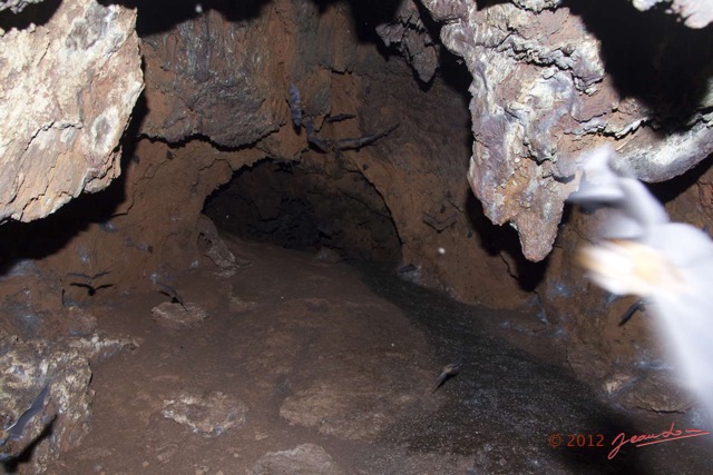 071 IKEI 1 la Grotte Cavite Superieure avec Chauves-Souris Volantes 12E5K2IMG_75220wtmk.jpg