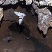 074 IKEI 1 la Grotte Cavite Superieure avec Chauves-Souris Volantes 12E5K2IMG_75223wtmk.jpg