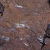 082 IKEI 1 la Grotte Paroi et Chauve-Souris Hipposideros caffer 12E5K2IMG_75240awtmk.jpg