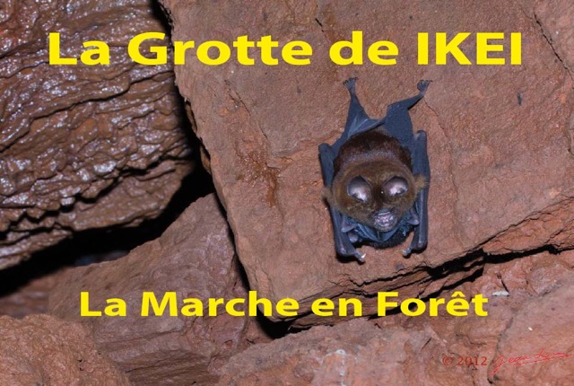 105 Titre Photos Grotte Ikei Marche Foret-01a.jpg