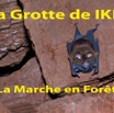 105 Titre Photos Grotte Ikei Marche Foret-01a.jpg