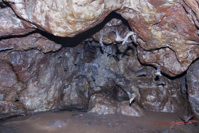 116 IKEI 2 la Grotte Cavite Entree 12E5K2IMG_75283wtmk.jpg