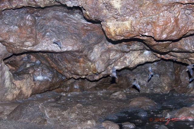 118 IKEI 2 la Grotte Cavite 12E5K2IMG_75291wtmk.jpg