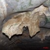 052 Grotte 2 Concretion 11E5K2IMG_72079wtmk.jpg.jpg