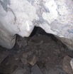 032 PAHON 1a la Grotte Cavite Secondaire et Oiseau Picatharte du Cameroun Picathartes oreas 15E5K3IMG_115378wtmk.jpg