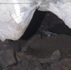 033 PAHON 1a la Grotte Cavite Secondaire et Oiseau Picatharte du Cameroun Picathartes oreas 15E5K3IMG_115378awtmk.jpg
