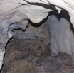 051 PAHON 1a la Grotte Cavite Secondaire et Oiseau Picatharte du Cameroun Picathartes oreas 15E5K3IMG_115387wtmk.jpg