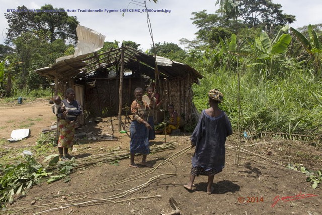 089 BITOUGA le Village Construction Hutte Traditionnelle Pygmee 14E5K3IMG_97900wtmk.jpg