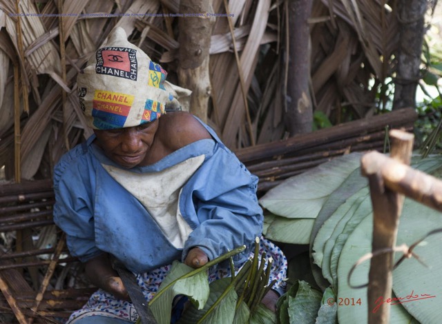 115 BITOUGA le Village Construction Hutte Traditionnelle Pygmee Vieille Femme Preparant les Feuilles 14E5K3IMG_97948wtmk.jpg
