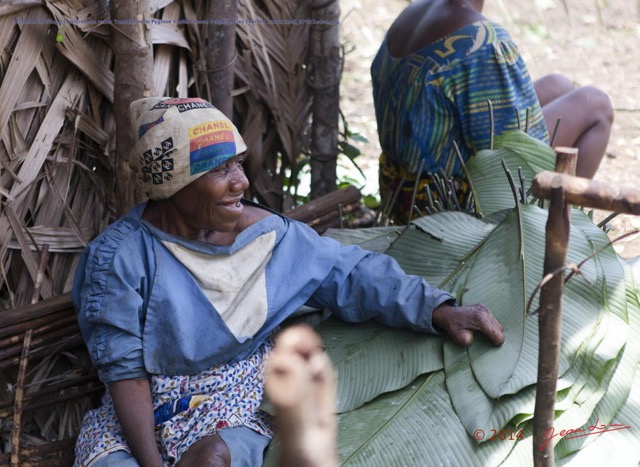 116 BITOUGA le Village Construction Hutte Traditionnelle Pygmee Vieille Femme Preparant les Feuilles 14E5K3IMG_97952wtmk.jpg