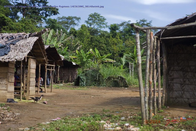 215 BITOUGA le Village les Huttes Traditionnelles Pygmees 14E5K3IMG_98148wtmk.jpg