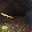 163 Mission 1 Grotte du Faucon Sacs de Contention avec Chauve-Souris 11E5K2IMG_70451wtmk.jpg
