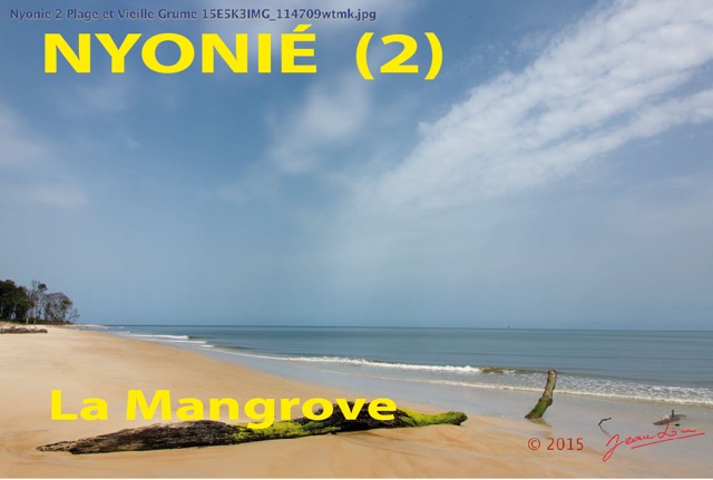 017 Titre Photos Nyonie 2 la Mangrove-01.jpg