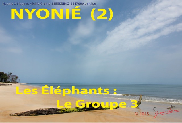 108 Titre Photos Nyonie 2 Elephants 3-01.jpg