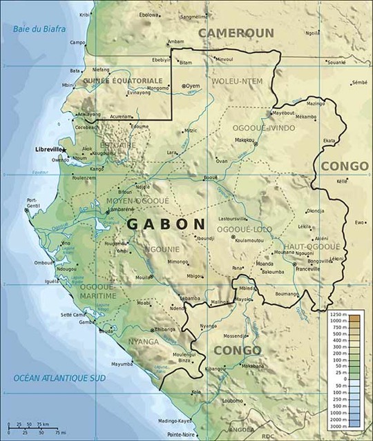 03-GABON-Carte-Topographique-Web