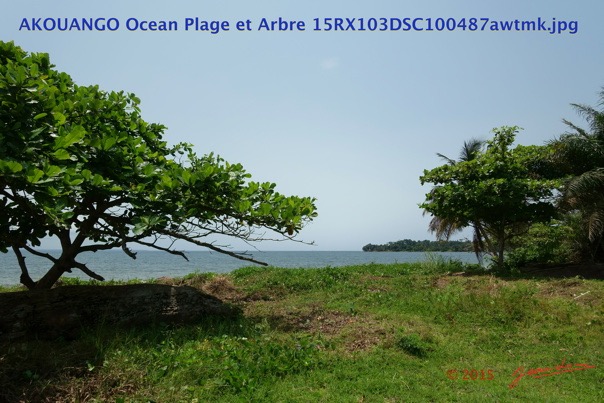 041 AKOUANGO Ocean Plage et Arbre 15RX103DSC100487awtmk.jpg