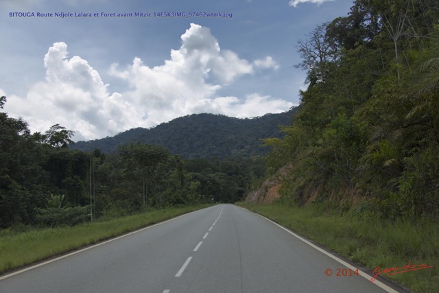 011 BITOUGA Route Ndjole Lalara et Foret avant Mitzic 14E5K3IMG_97462wtmk.jpg