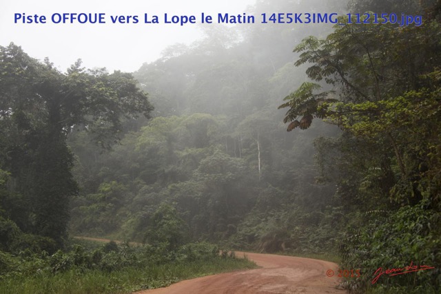 055 Piste OFFOUE vers La Lope le Matin 14E5K3IMG_112150wtmk.JPG