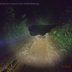 015 BITOUGA Piste Sam Kougouleu la Nuit Pont 1 Passage par la Riviere 14E5K3IMG_98896wtmk.jpg