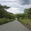 014 BITOUGA Route Lalara Oyem Tunnel de Bambous 14E5K3IMG_97485wtmk.jpg