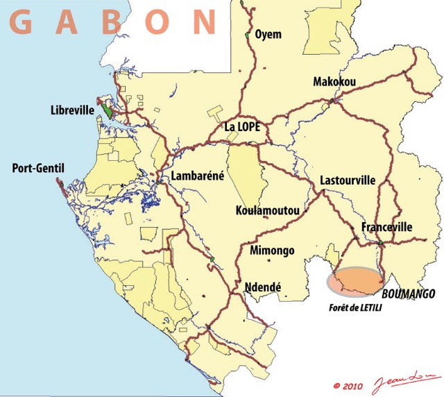 001 Carte Gabon Foret de Letiliwtmk.jpg