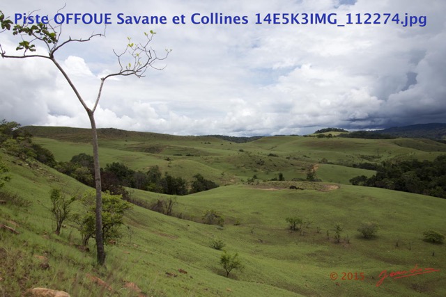041 Piste OFFOUE Savane et Collines 14E5K3IMG_112274wtmk.JPG