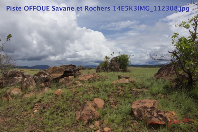 057 Piste OFFOUE Savane et Rochers 14E5K3IMG_112308wtmk.JPG