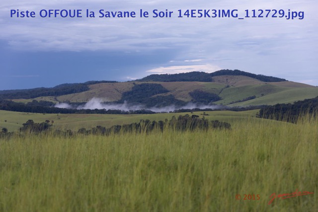160 Piste OFFOUE la Savane le Soir 14E5K3IMG_112729wtmk.JPG