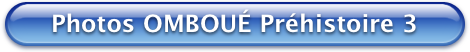 Bouton Bleu Omboue-Prehistoire3 470x52