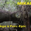 038 Titre Photos Mikaka Piege Porc-Epic-01.jpg